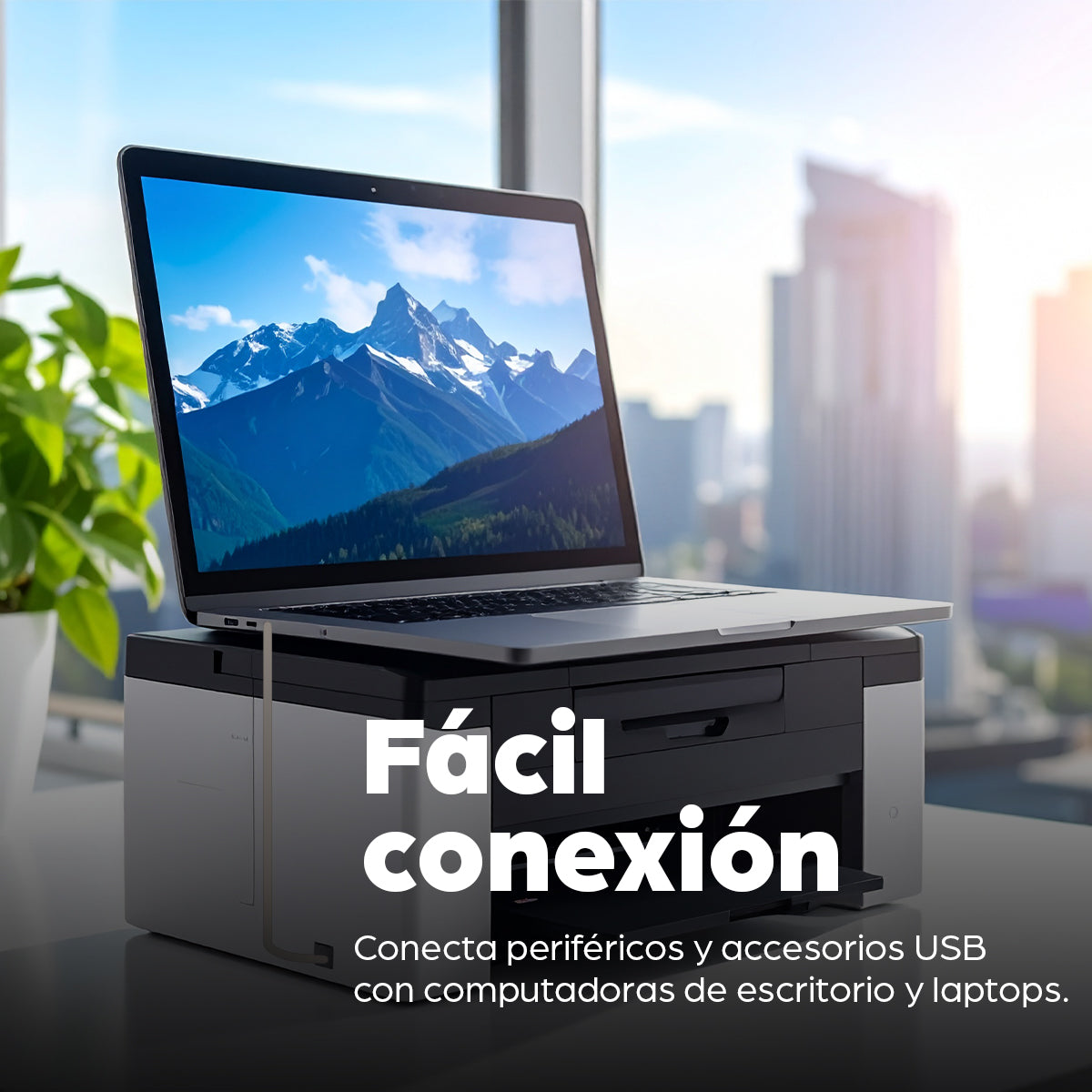 Cable USB 2.0 activo