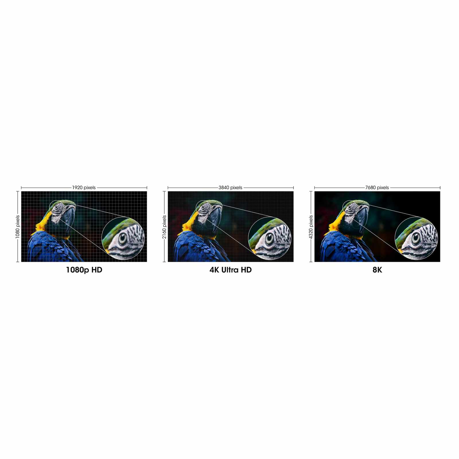 Cable HDMI Certificado de Ultra Alta Velocidad, 8K a 60 Hz o 4K a 120 Hz, con Ethernet Image 8